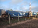 RUMO HTT-351652-1